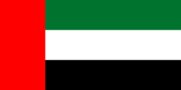 Dubai, Arab Emirates flag